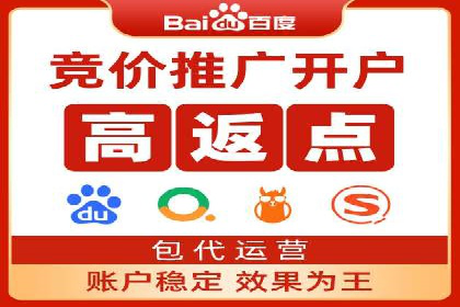 百度竞价SEM案例：揭秘高效广告投放技巧