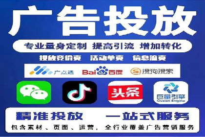 某电商平台的SEM策略与效果展示